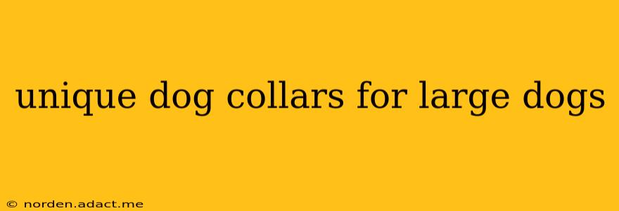 unique dog collars for large dogs