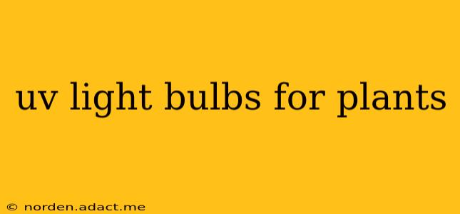 uv light bulbs for plants