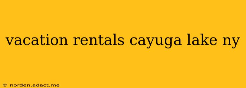 vacation rentals cayuga lake ny