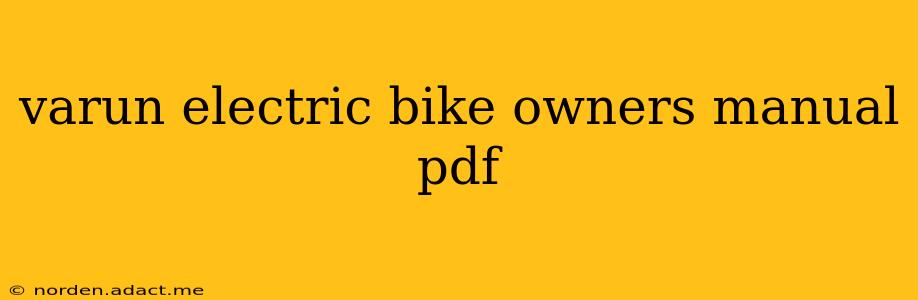 varun electric bike owners manual pdf