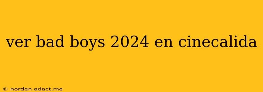 ver bad boys 2024 en cinecalida