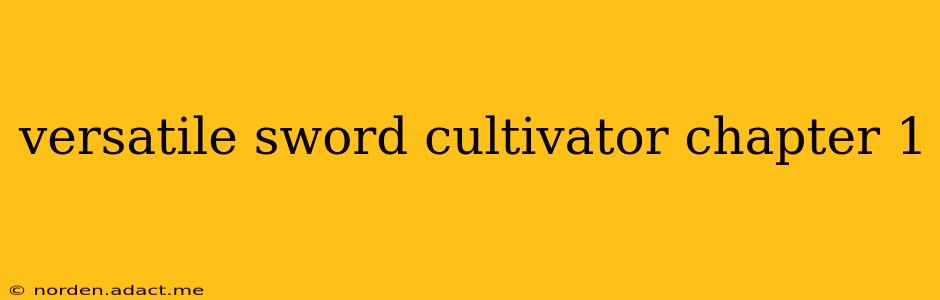 versatile sword cultivator chapter 1