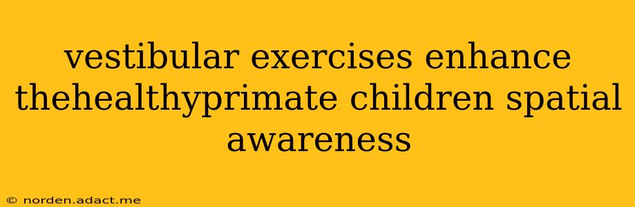 vestibular exercises enhance thehealthyprimate children spatial awareness