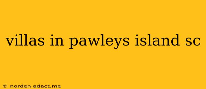 villas in pawleys island sc