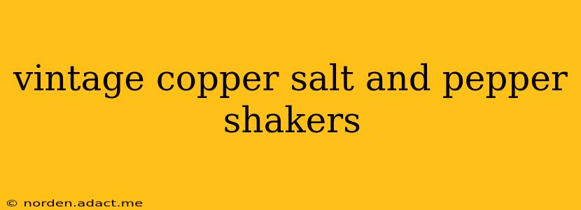 vintage copper salt and pepper shakers