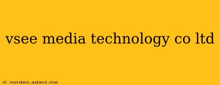 vsee media technology co ltd