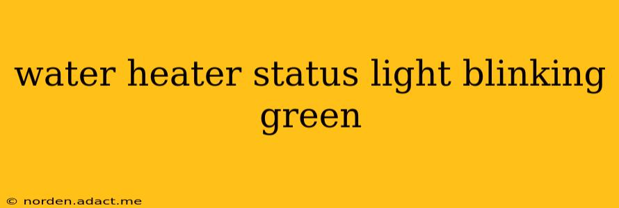 water heater status light blinking green