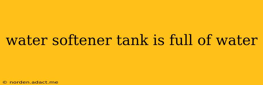 water softener tank is full of water