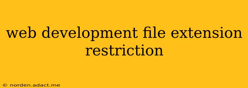 web development file extension restriction