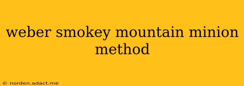 weber smokey mountain minion method