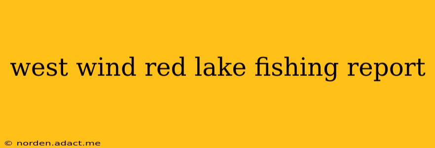 west wind red lake fishing report