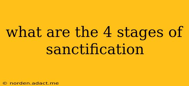 what are the 4 stages of sanctification