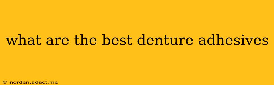 what are the best denture adhesives