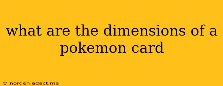 what are the dimensions of a pokemon card