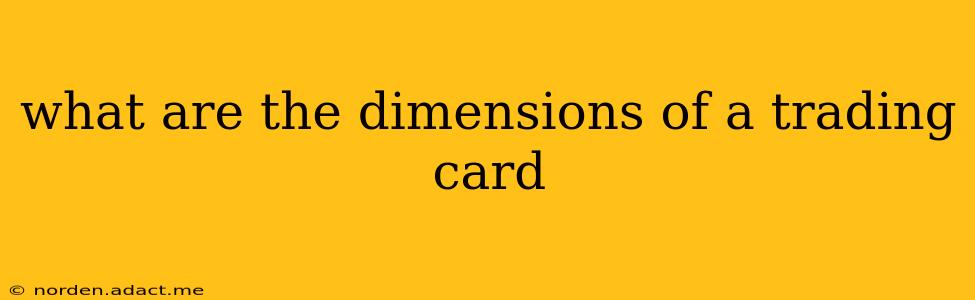 what are the dimensions of a trading card