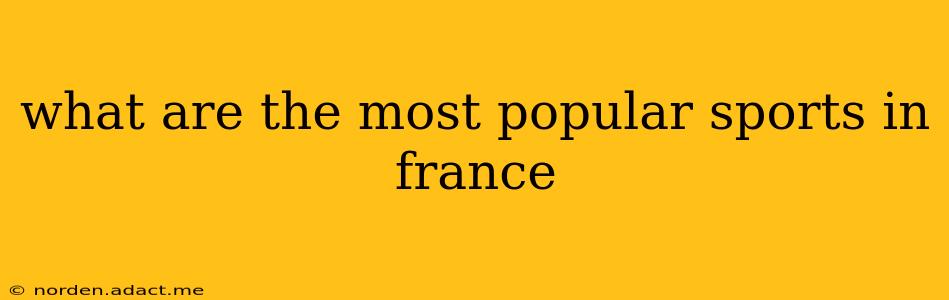 what are the most popular sports in france