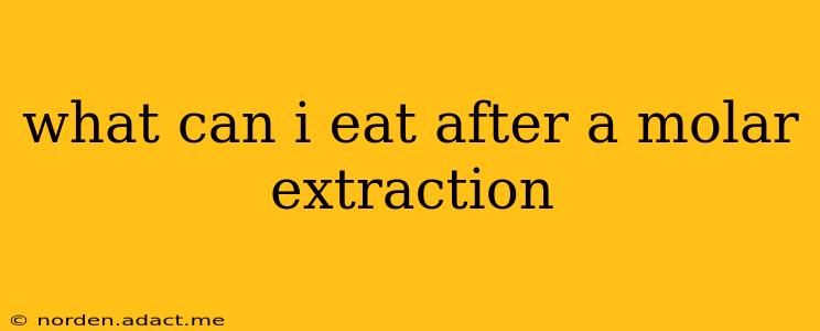 what can i eat after a molar extraction