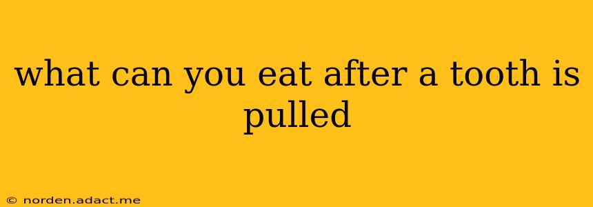 what can you eat after a tooth is pulled