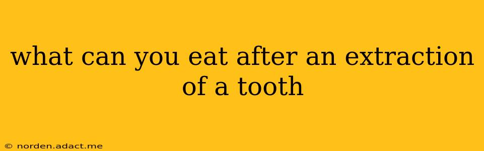 what can you eat after an extraction of a tooth