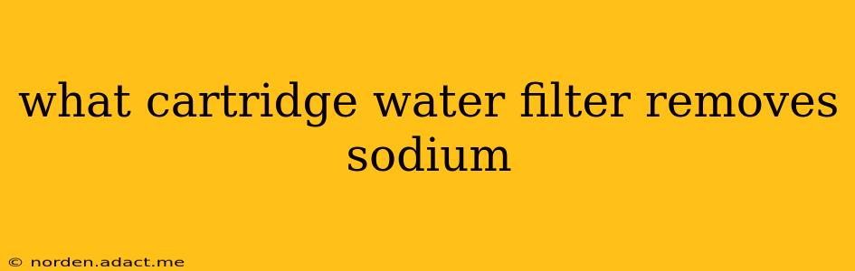 what cartridge water filter removes sodium