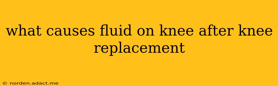 what causes fluid on knee after knee replacement