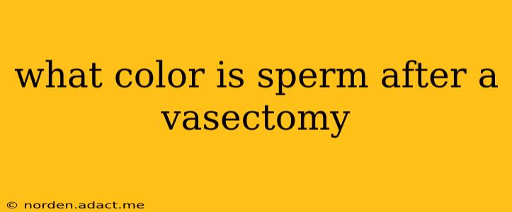 what color is sperm after a vasectomy