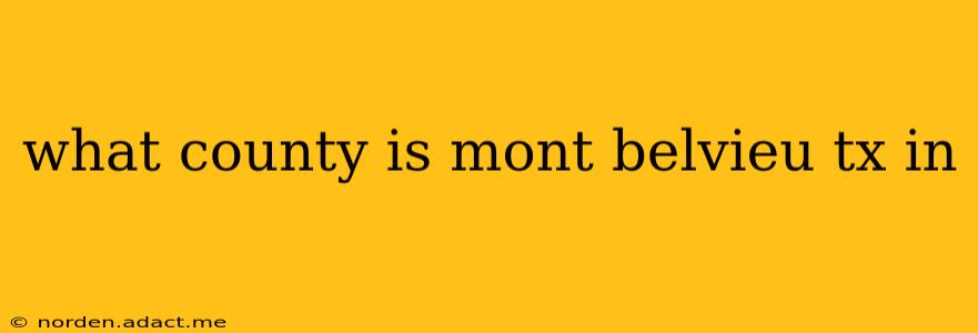 what county is mont belvieu tx in