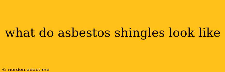 what do asbestos shingles look like