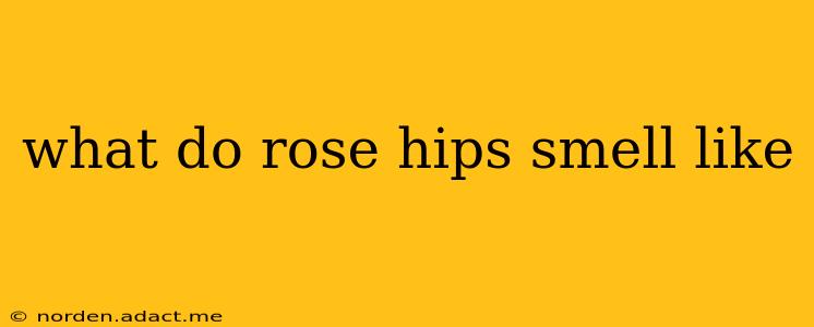 what do rose hips smell like