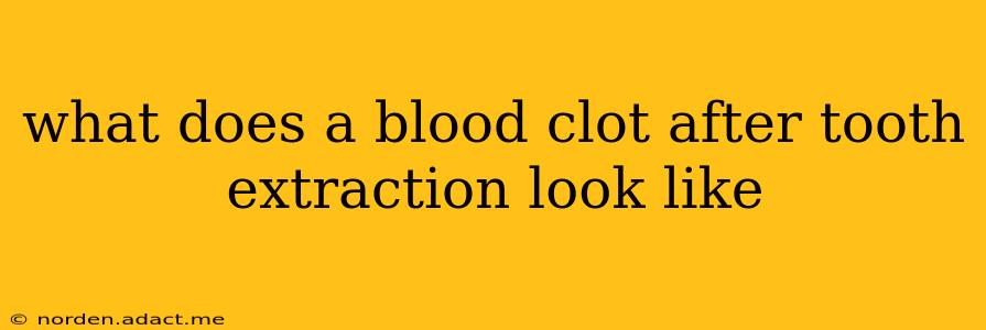 what does a blood clot after tooth extraction look like