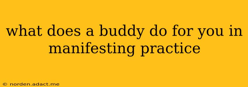 what does a buddy do for you in manifesting practice
