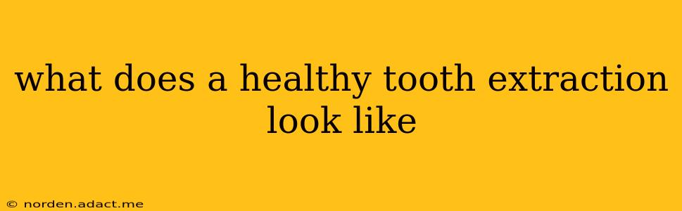 what does a healthy tooth extraction look like
