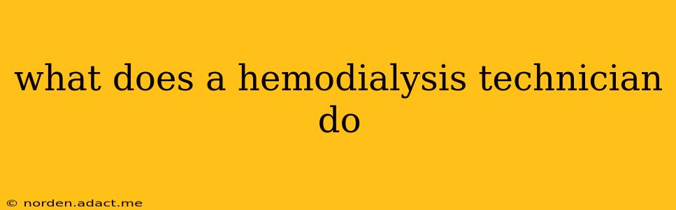 what does a hemodialysis technician do