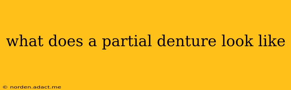what does a partial denture look like