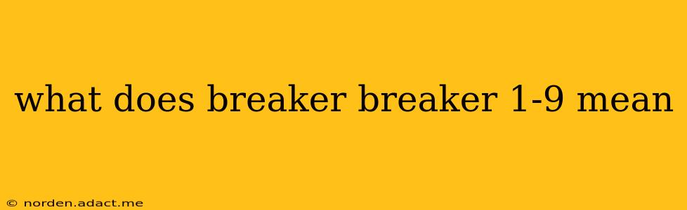 what does breaker breaker 1-9 mean