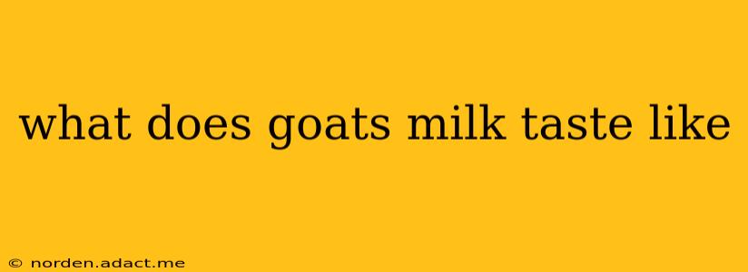 what does goats milk taste like
