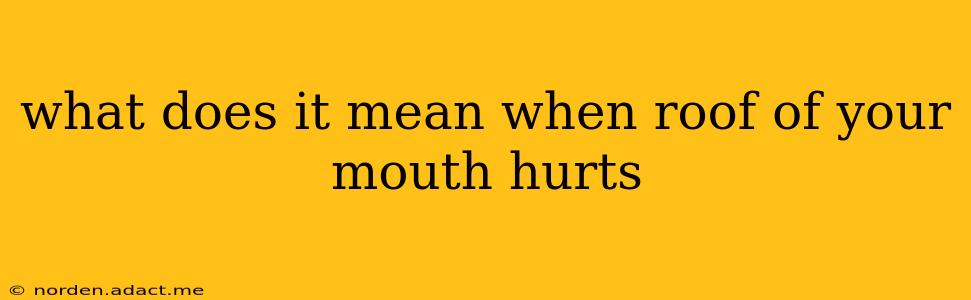 what does it mean when roof of your mouth hurts