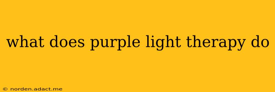 what does purple light therapy do