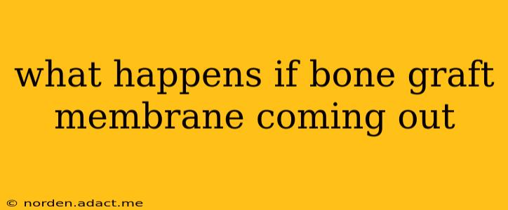 what happens if bone graft membrane coming out