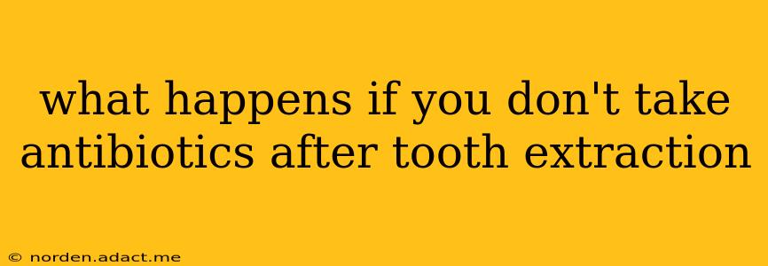 what happens if you don't take antibiotics after tooth extraction