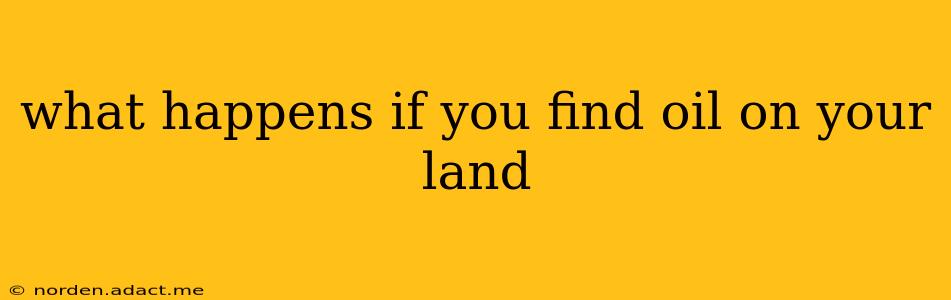 what happens if you find oil on your land