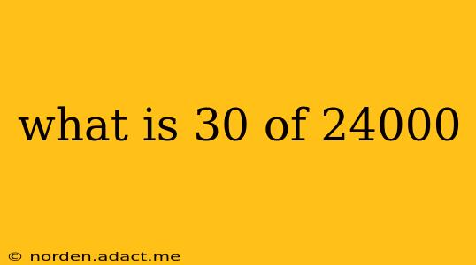 what is 30 of 24000