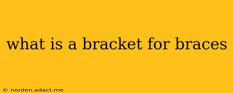 what is a bracket for braces