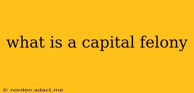 what is a capital felony