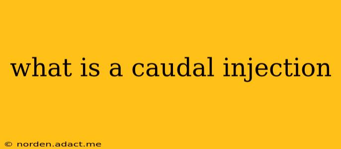 what is a caudal injection