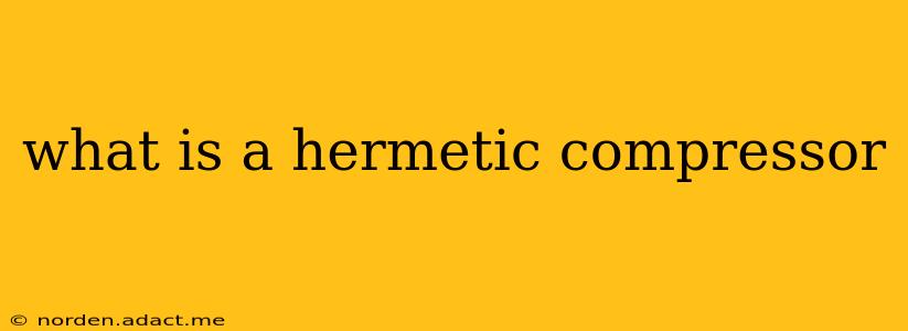 what is a hermetic compressor