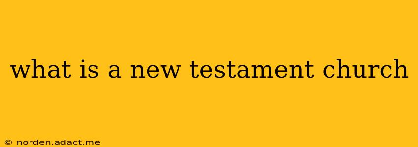 what is a new testament church