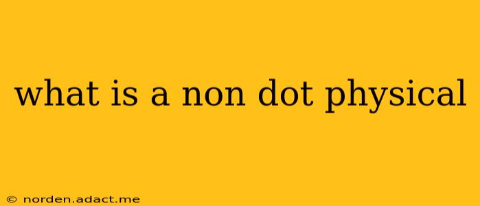 what is a non dot physical