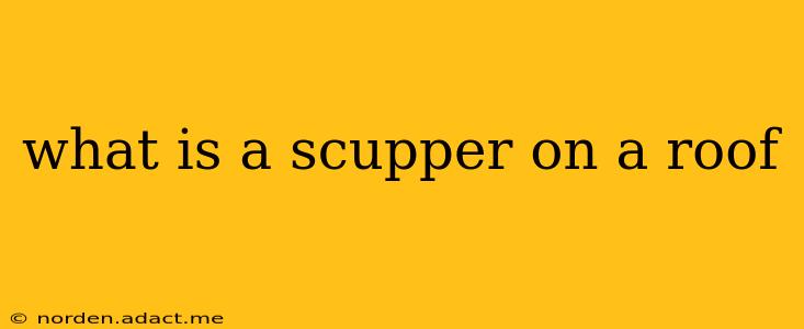 what is a scupper on a roof