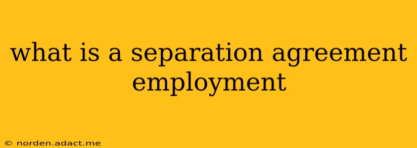 what is a separation agreement employment
